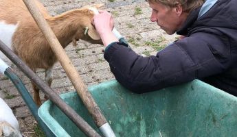 Kinderboerderij Zegersloot